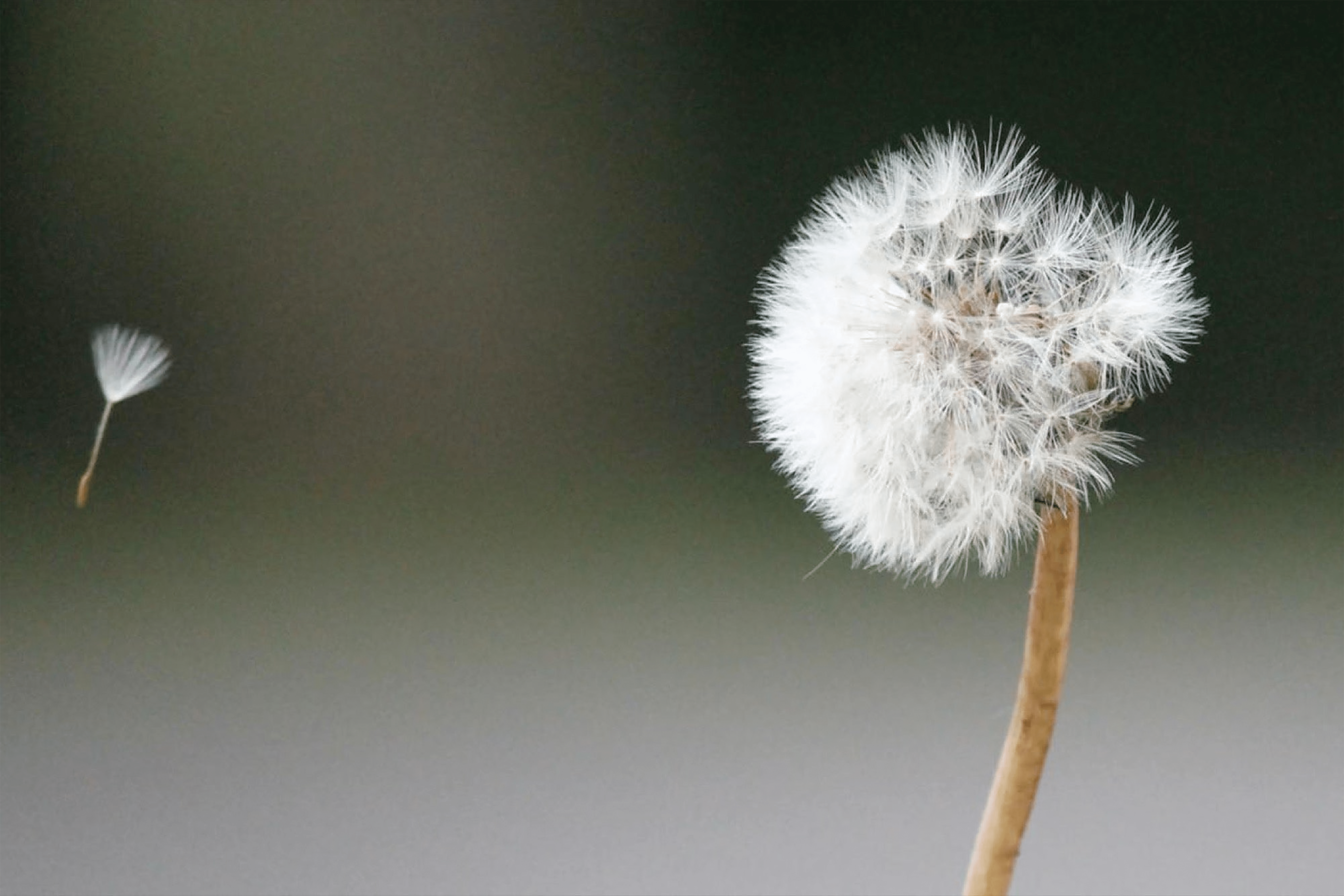 FAILURE IS A POWERFUL TOOL THAT CAN BE USED TO IMPROVE DECISION-MAKING ABILITIES