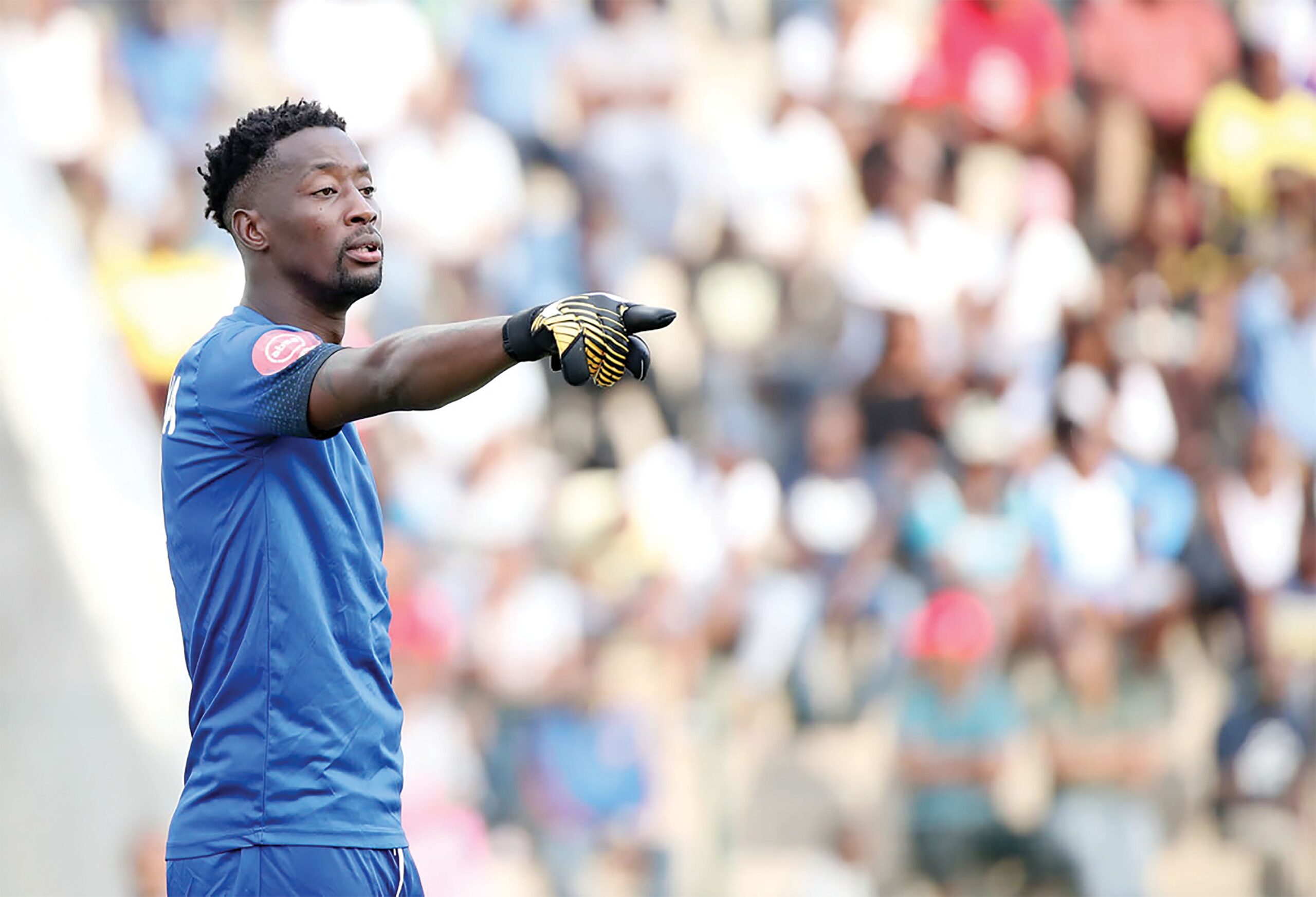 CALLIES TO CUT CANE CUTTERS TO SHREDS