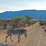 TOURISM Kenya 4