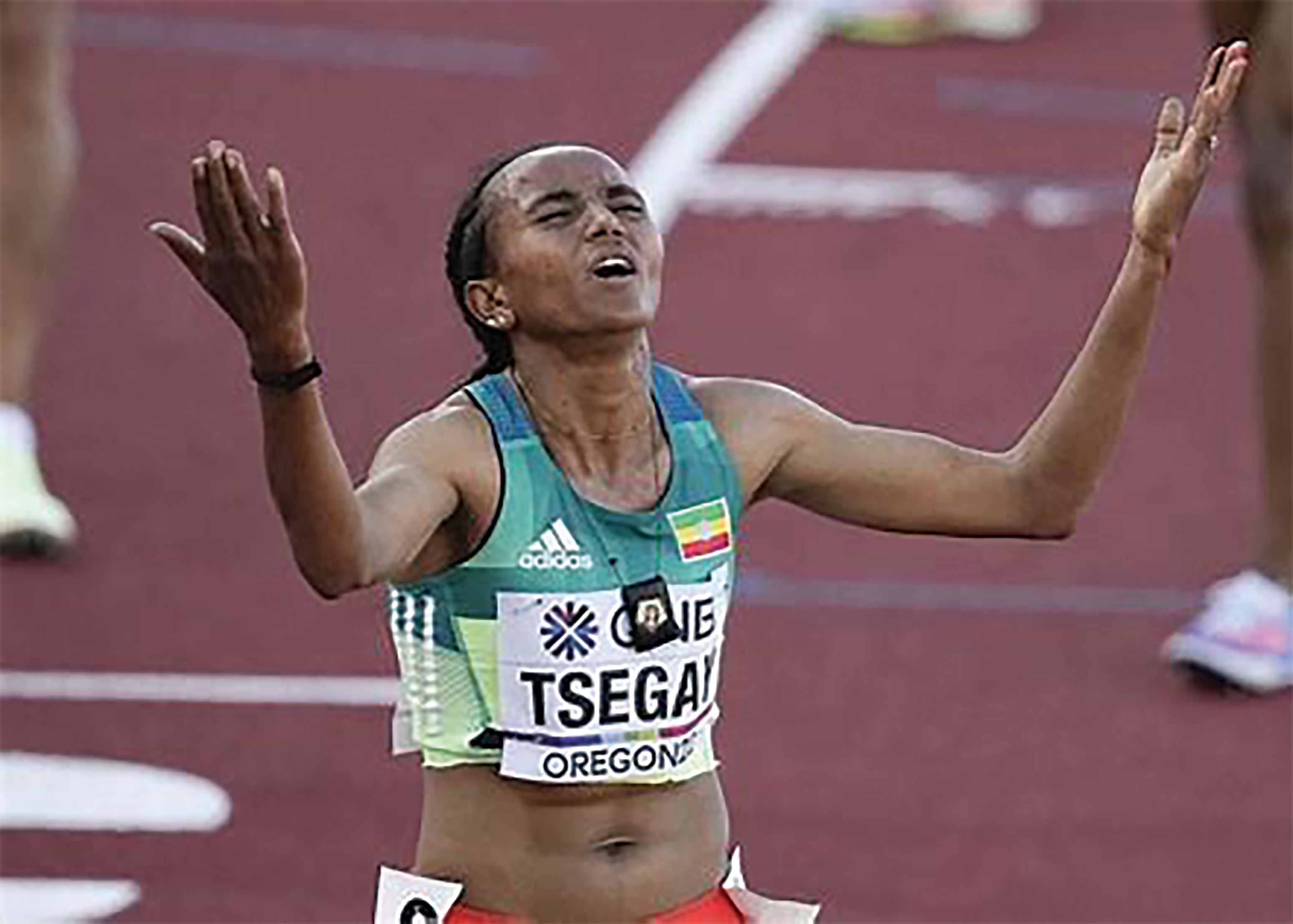 THE UNBEARABLE LIKENESS OF BEING TIGRAY