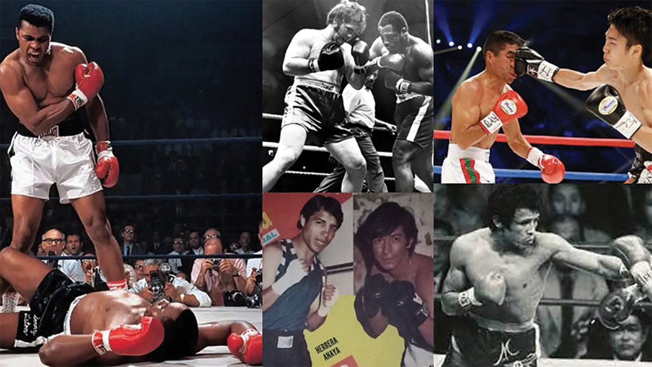 THIS WEEK IN BOXING....