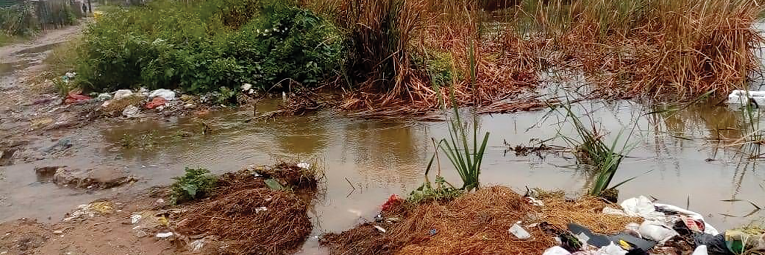 LONG-SUFFERING SCHOOLKIDS’ PLIGHT FALLS ON DEAF EARS