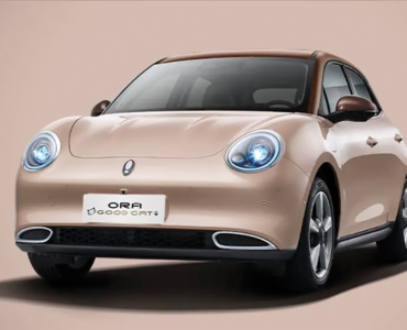 FUNKY CAT MEOWS ITS WAY TO MZANSI