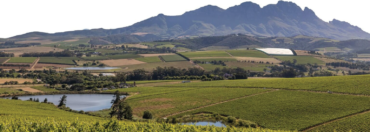 SA’S WINE SECTOR JITTERS OVER RUSSIAN ARMS STAND-OFF