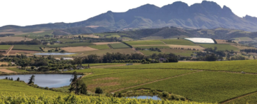SA’S WINE SECTOR JITTERS OVER RUSSIAN ARMS STAND-OFF