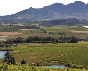SA’S WINE SECTOR JITTERS OVER RUSSIAN ARMS STAND-OFF