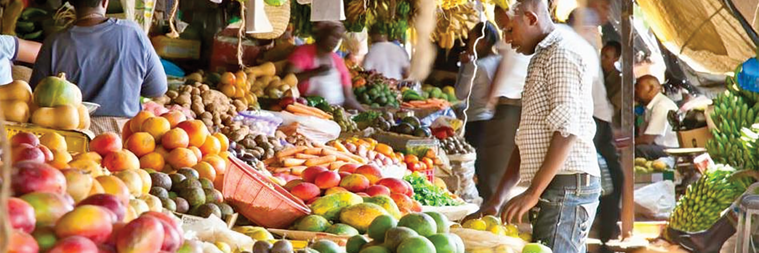 AFRICA – THE CHALLENGE TO SECURE ADEQUATE FOOD SUPPLIES