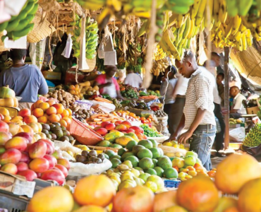 AFRICA – THE CHALLENGE TO SECURE ADEQUATE FOOD SUPPLIES