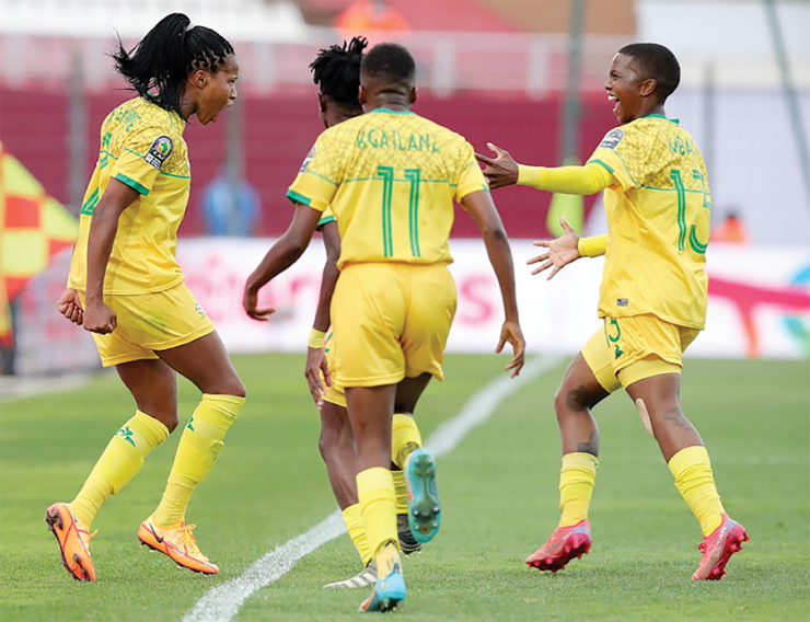 CAN BANYANA LICK SWEDES?