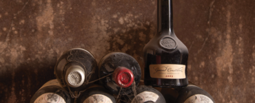TROPHY SPIRITS SHOW 2023 WINNERS