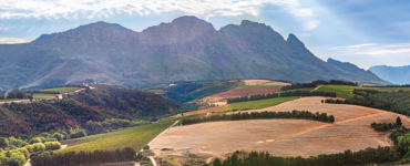 LE RICHE UNVEILS WORLD-ACCLAIMED RESERVE CABERNET SAUVIGNON 2020