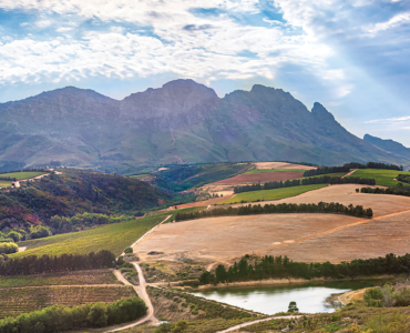 LE RICHE UNVEILS WORLD-ACCLAIMED RESERVE CABERNET SAUVIGNON 2020