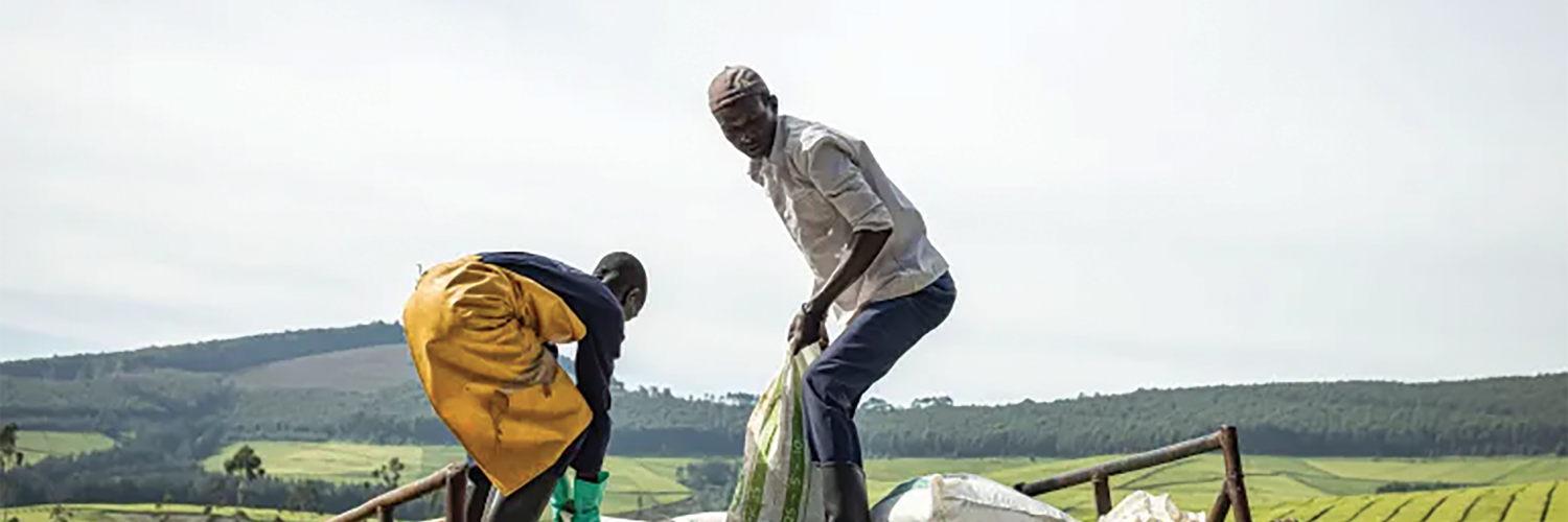 FEEDING BIG AGRIBUSINESS, STARVING AFRICANS