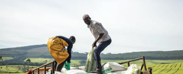 FEEDING BIG AGRIBUSINESS, STARVING AFRICANS