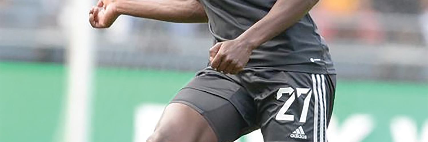 CUL DE SAC FOR STELLIES