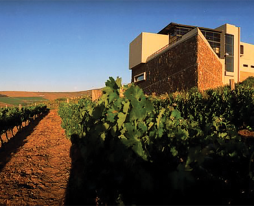 PROOF OF DURBANVILLE’S WINES IN THE SAVOURING