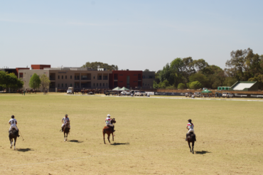 MUCH ADO ABOUT ECLECTIC FASHION AND NEIGH-TING