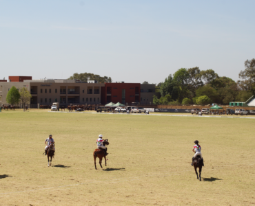 MUCH ADO ABOUT ECLECTIC FASHION AND NEIGH-TING