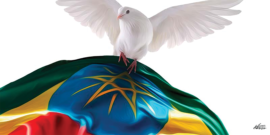 PRETORIA PEACE AGREEMENT: BROKEN PROMISES, BETRAYED TIGRAY