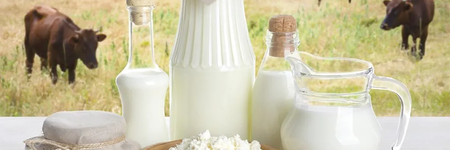 COW’S MILK LINKED TO INCREASED RISK OF HEART DISEASE AND DEATH