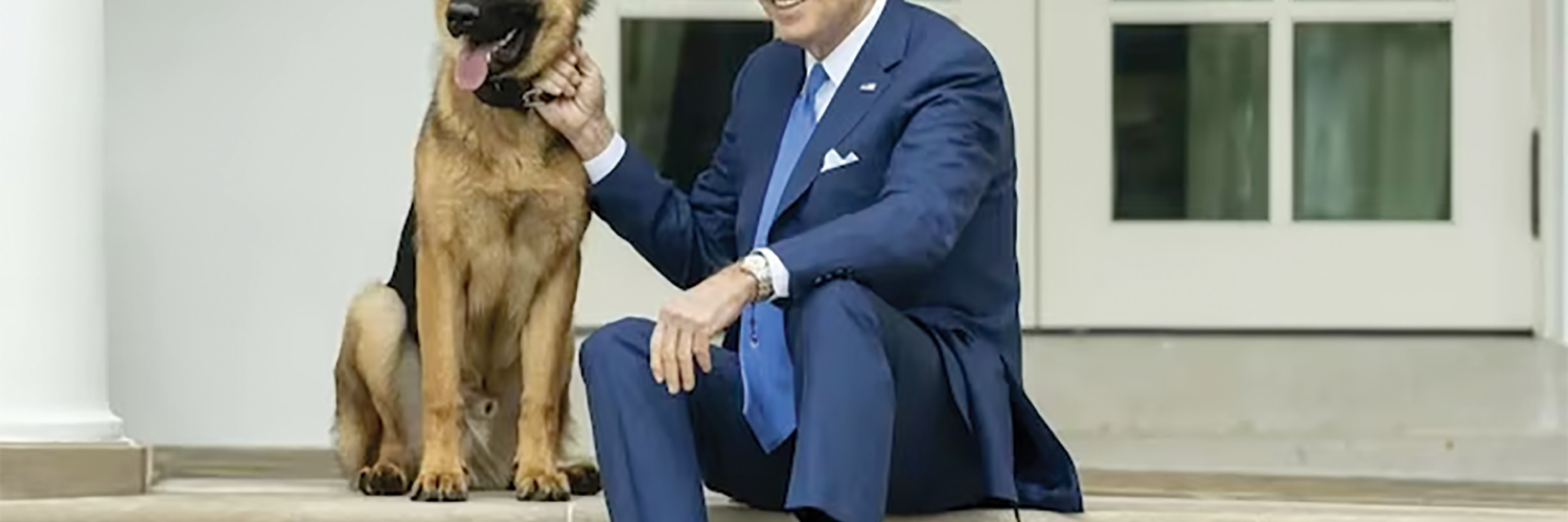 A DOG’S DAY FOR BIDEN