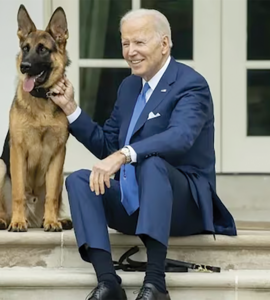 A DOG’S DAY FOR BIDEN