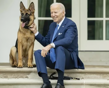 A DOG’S DAY FOR BIDEN