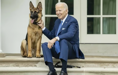 A DOG’S DAY FOR BIDEN