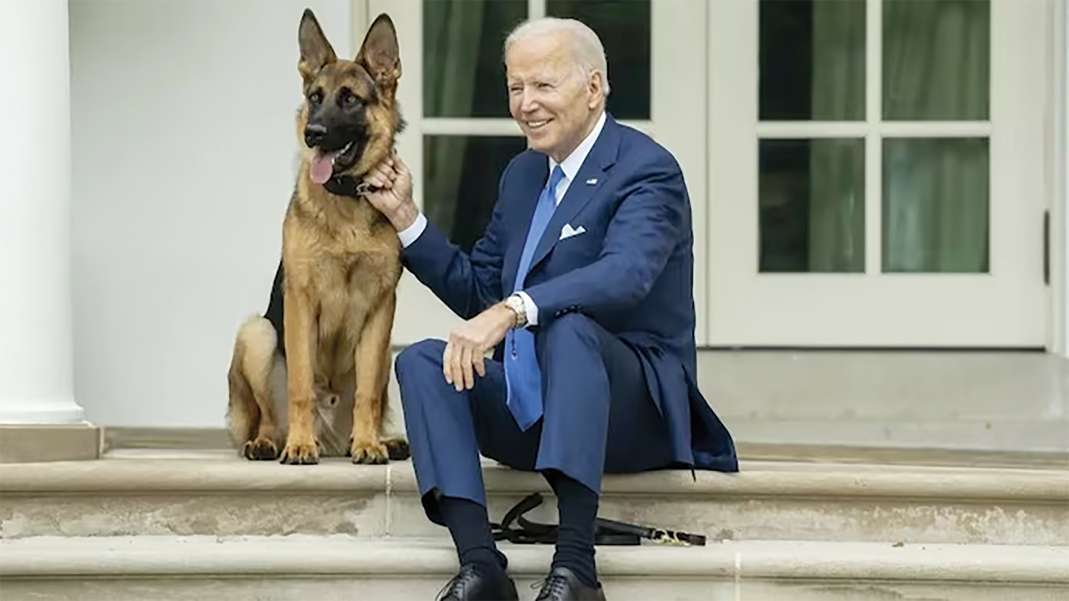 A DOG’S DAY FOR BIDEN