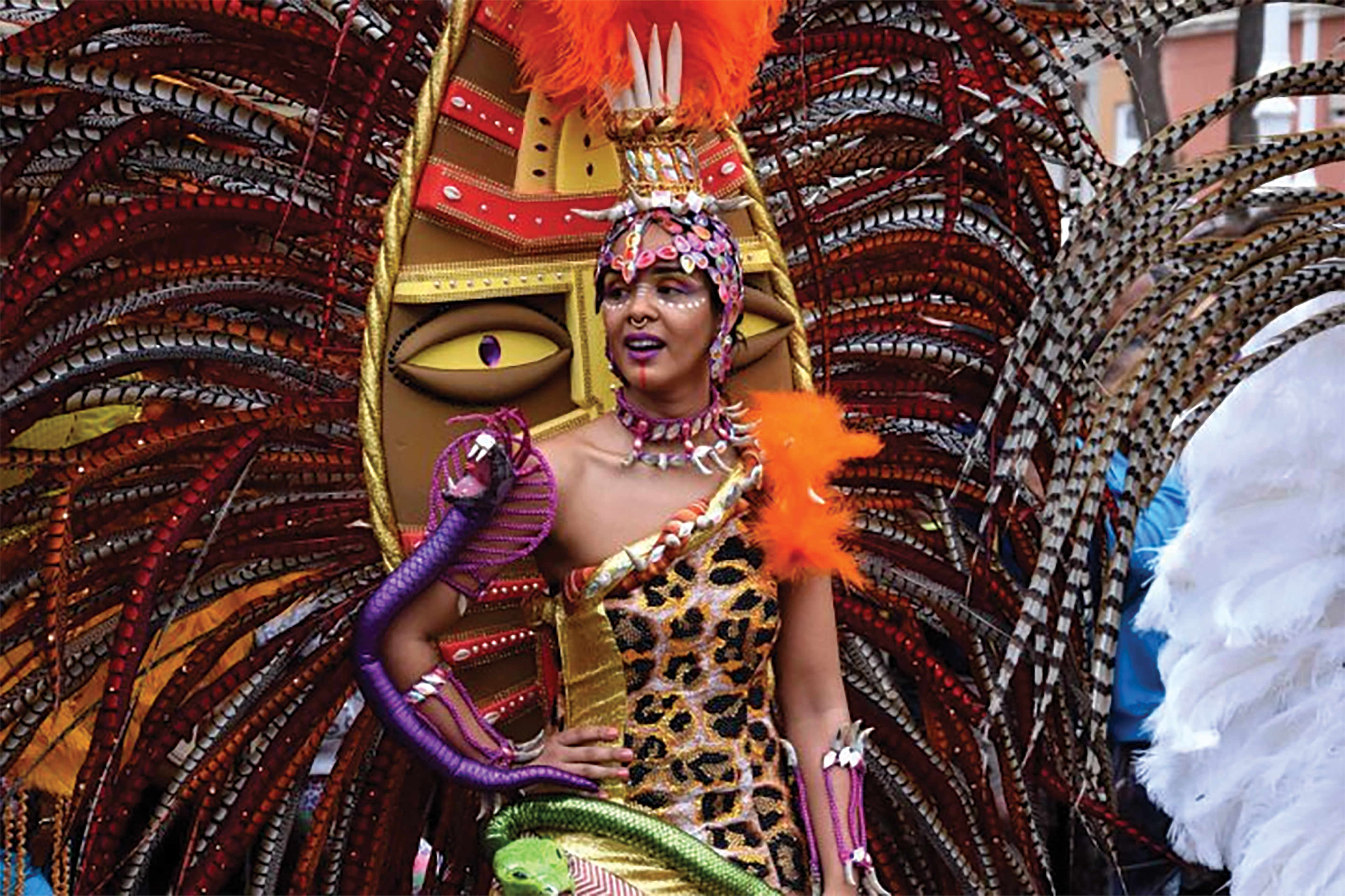 MAGNIFIQUE: Carnival fever in Cape Verde.
Photo: Cape Verde Experience