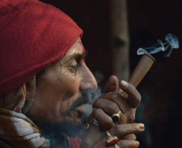PRESIDENT TO PUFF-PUFF AND PASS CANNABIS BILL INTO LAW