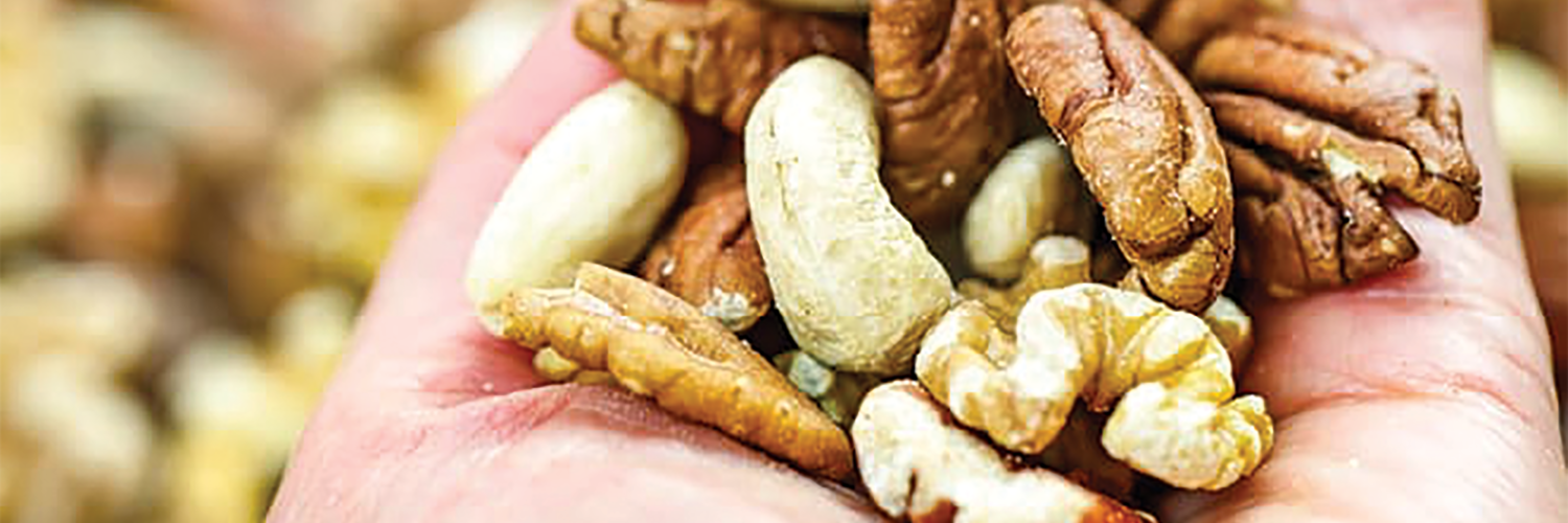 ‘EATING TOO MUCH PROTEIN BAD FOR ARTERIES’