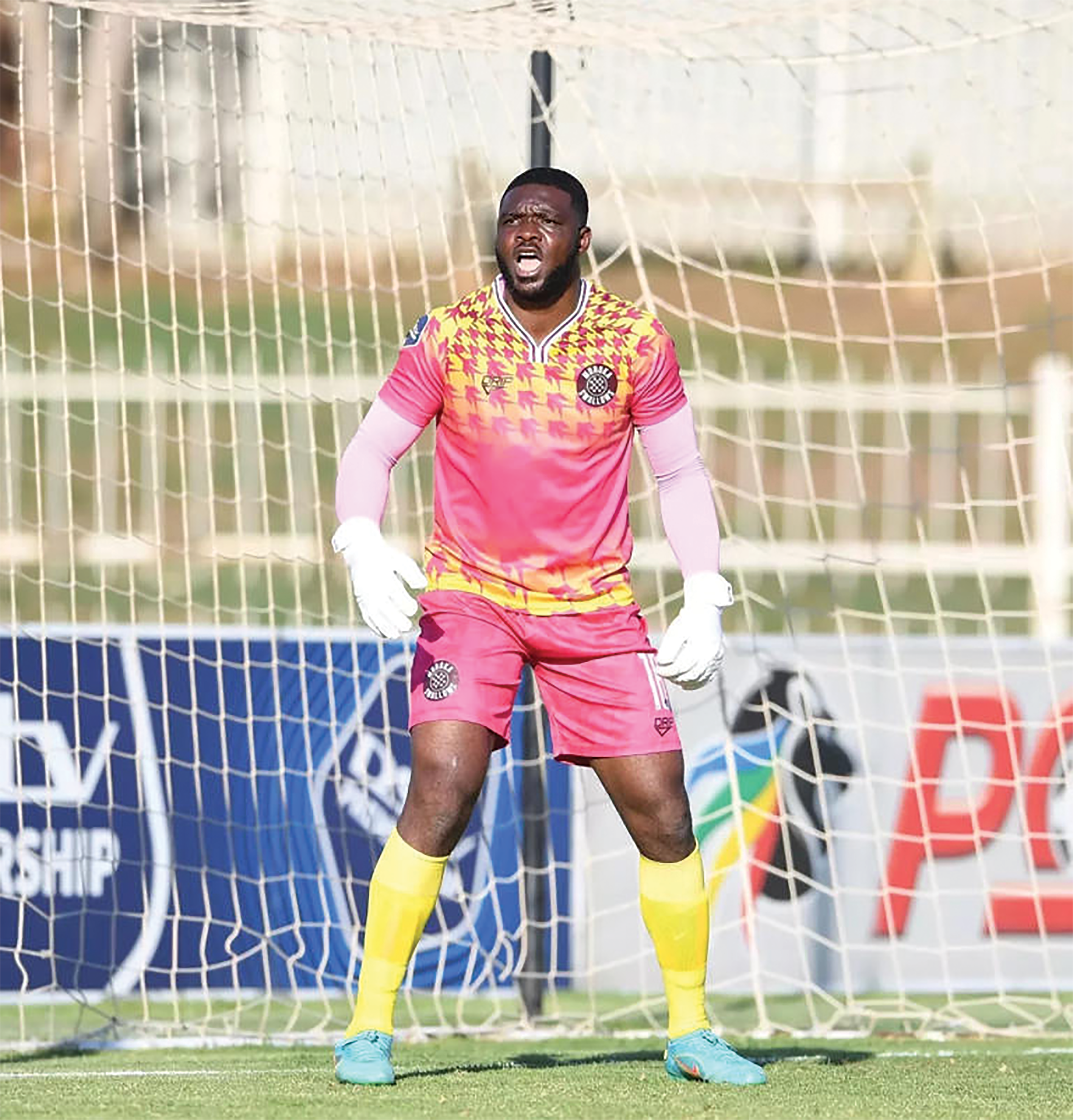 PILLAR OF STRENGTH: Swallows keeper Daniel Akpeyi